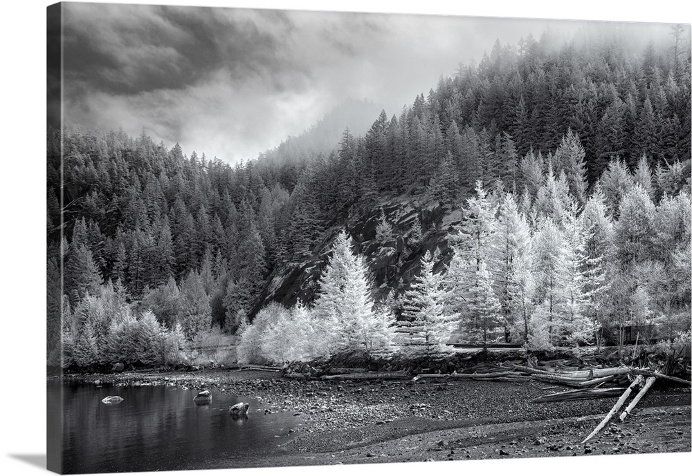 A b+w scene of a forested mountain near a lake with the mountains dipped in fog.