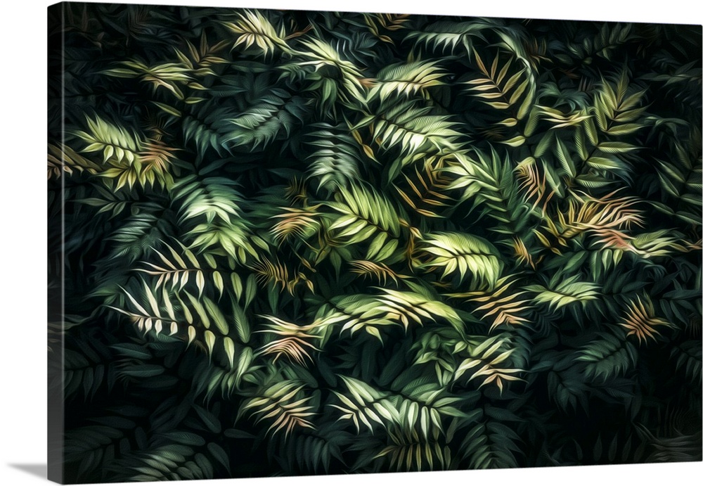 Photo Expressionism - Green leaf bush on a shrub.