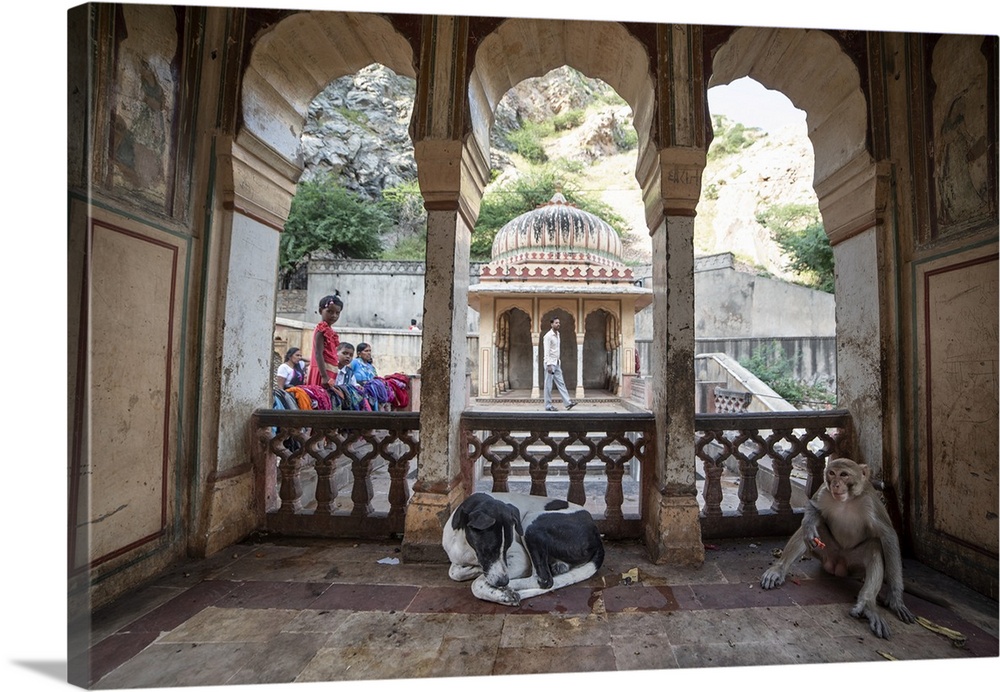 A dog and monkey sit together at a temple in India.