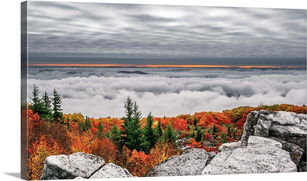 Dense cloud cover and fog in the valley in the Dolly Sods wilderness, West Virginia.