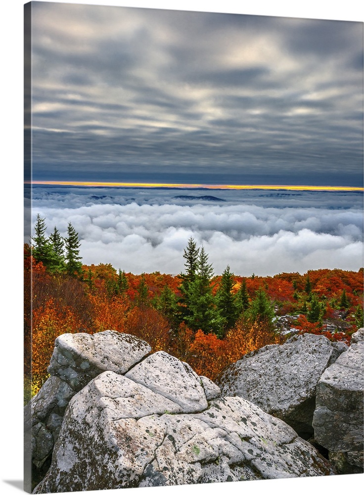 Beautiful Fall color scene from the top of Dolly Sods in West Virginia features both clouds above and clouds below the vie...