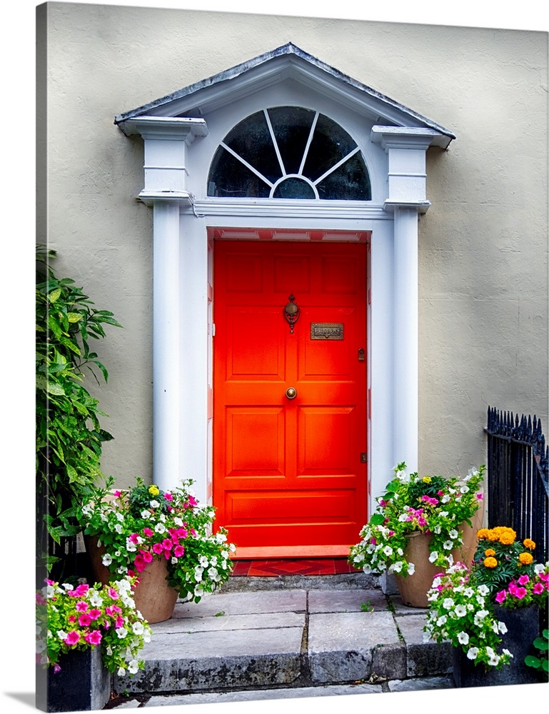 Colorful antique entry door with potted flowers, Cork, Ireland.