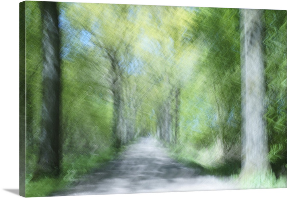 Artistically blurred photo. A bright sunny spring day in a forest in near the city of Nijmegen, The Netherlands.