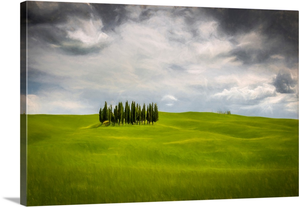 Fine art photo of a small group of trees on a hilly landscape under a cloudy sky.