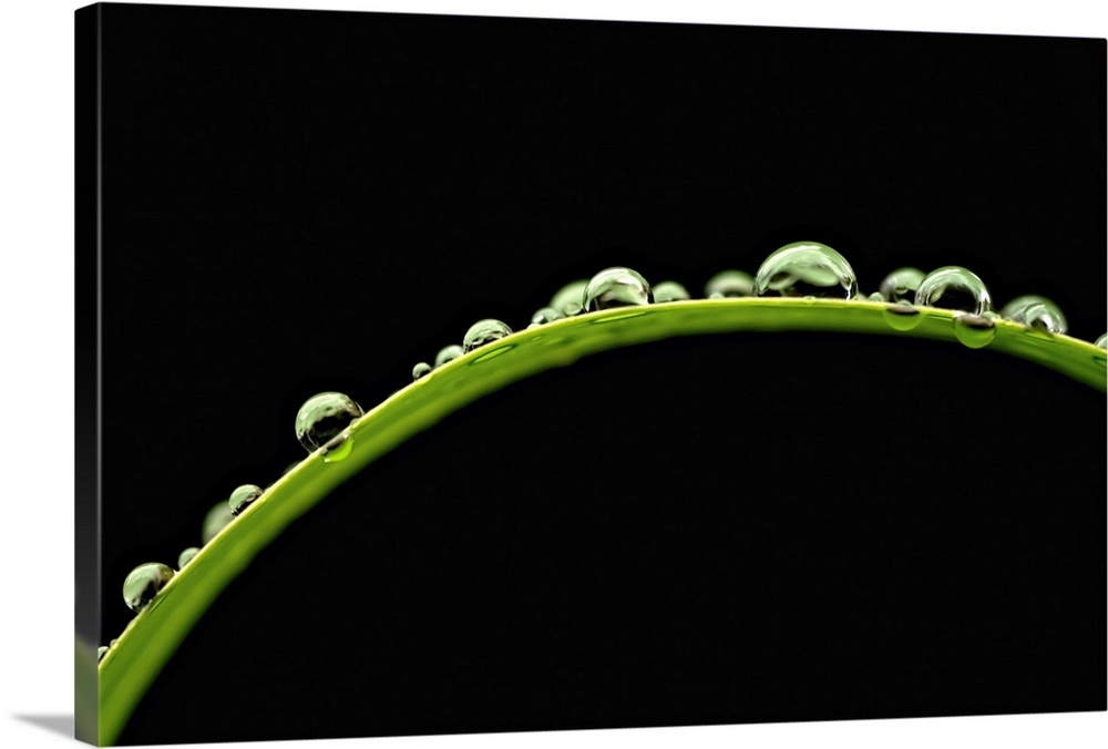 Up-close photograph of water droplets on a blade of grass.