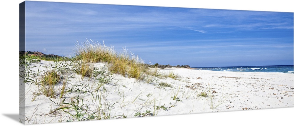 This picture was shot in Sardinia in the summer. A lonely beach with dunes and shrubs with the sea in the distance of a de...