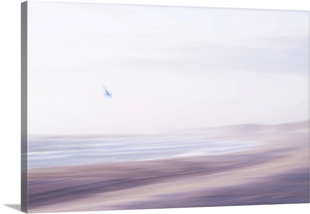 Artistically blurred photo. The North Sea beach of North Jutland, Denmark. A seagull flies to the sea.