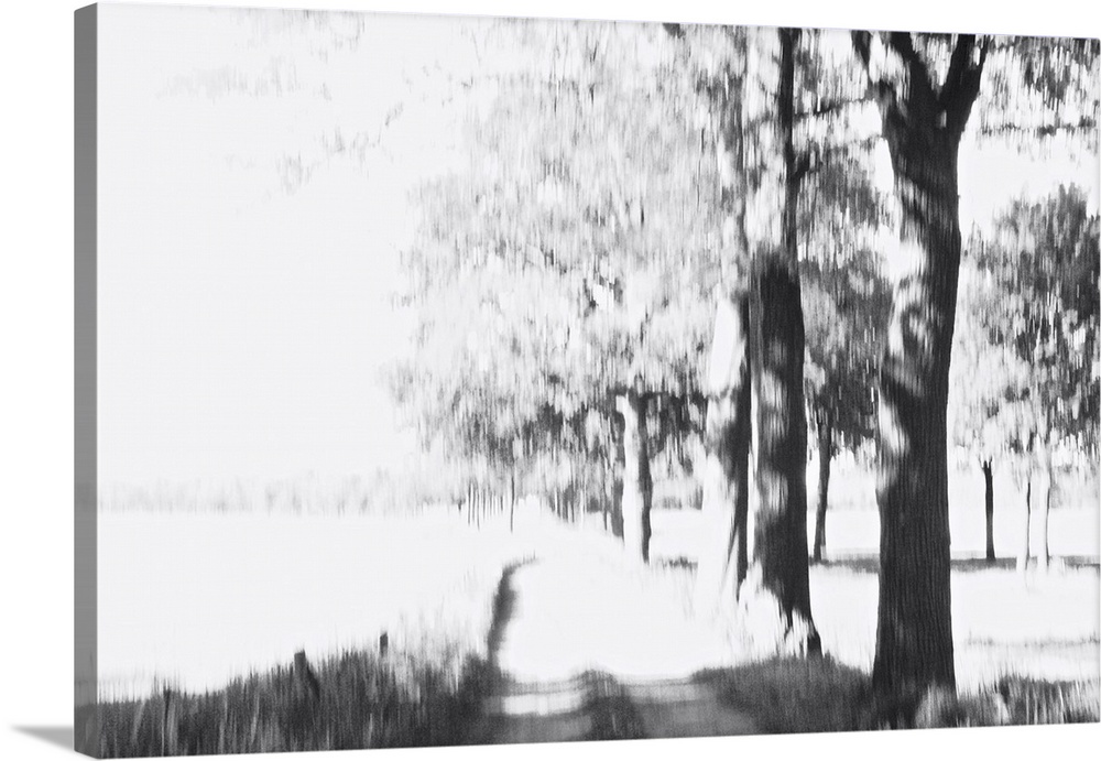 Artistically blurred photo. At the edge of a forest near the City of Nijmegen, The Netherlands. A view over the fields.
