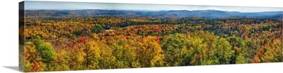 Endless Fall Foliage in Vermont