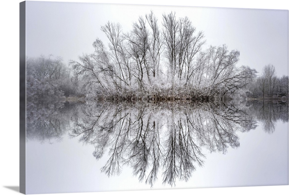 Photograph of a rounded and frozen tree line reflecting onto a calm, glassy lake.