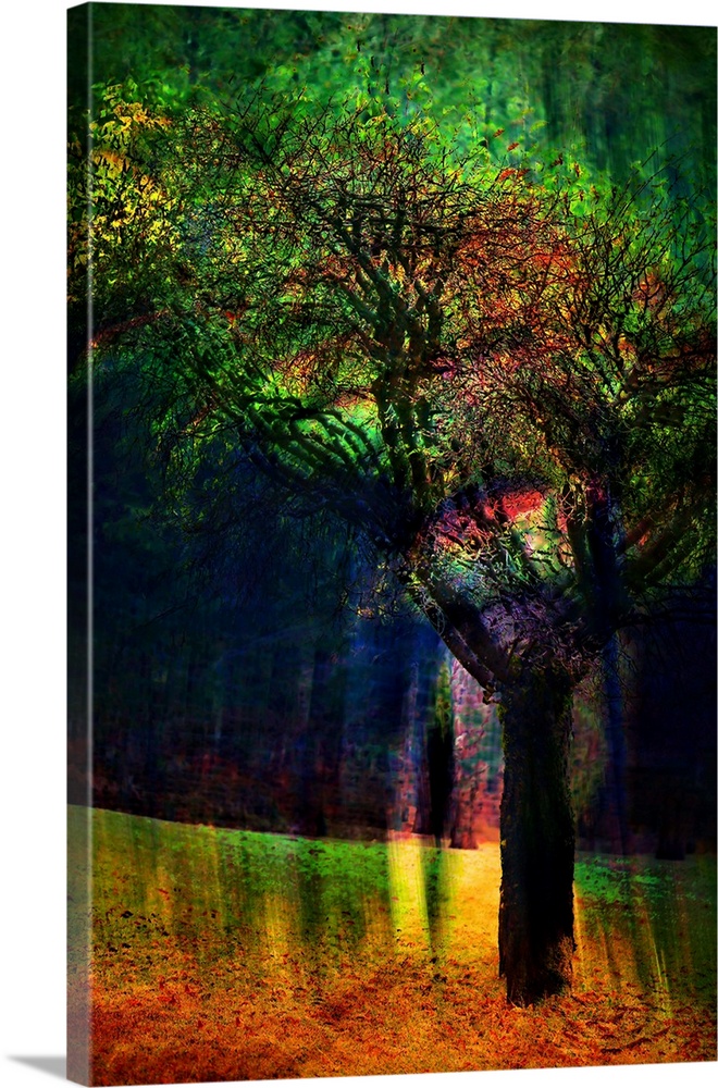Abstract image of a tree in a garden in British Columbia, Canada. The image was made using the in-camera burst multiple-ex...