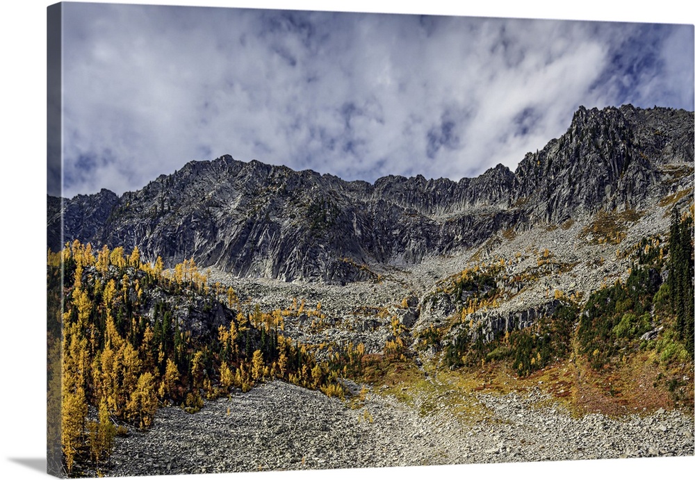 Craggy mountains, with golden larches and dark green sub-alpine fir trees in fall.