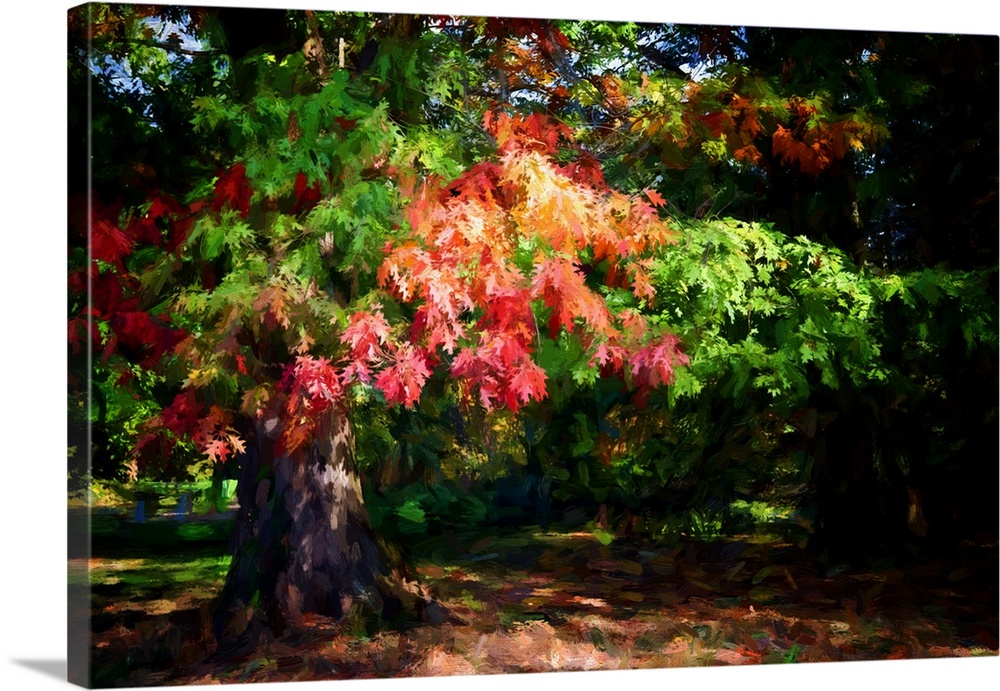 Expressionist photo or painterly of an oak tree in autumn