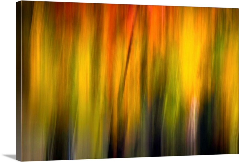 Blurred artwork of what appears to be sunlight.
