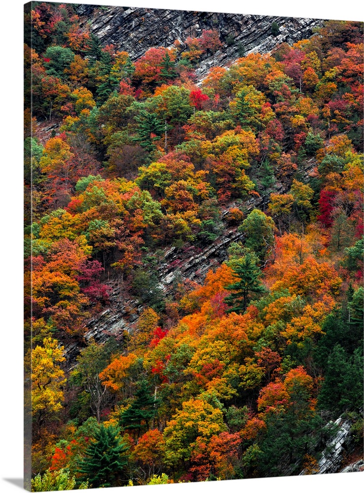 Aerial view of snowy rock hidden among orange and green autumn trees.