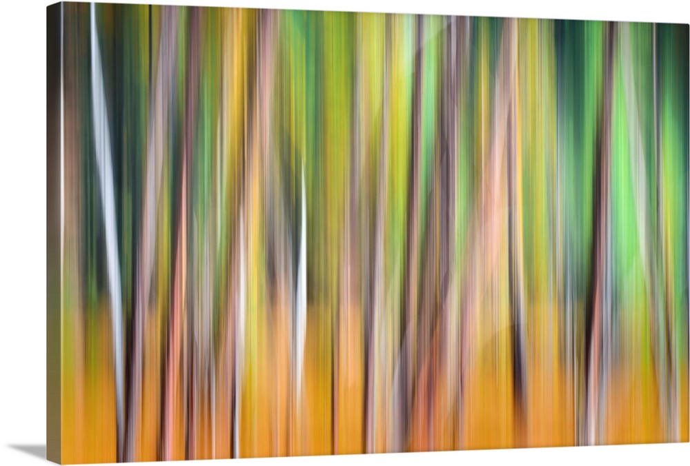 Artistic photograph of a motion blurred and multi-colored forest scene.