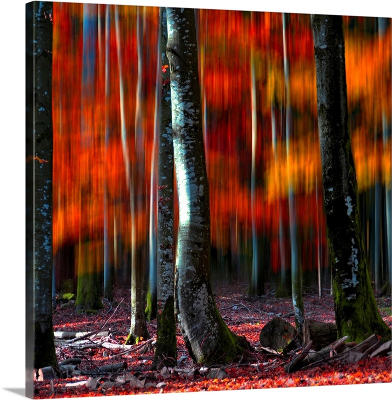 Fall Vision | Great Big Canvas