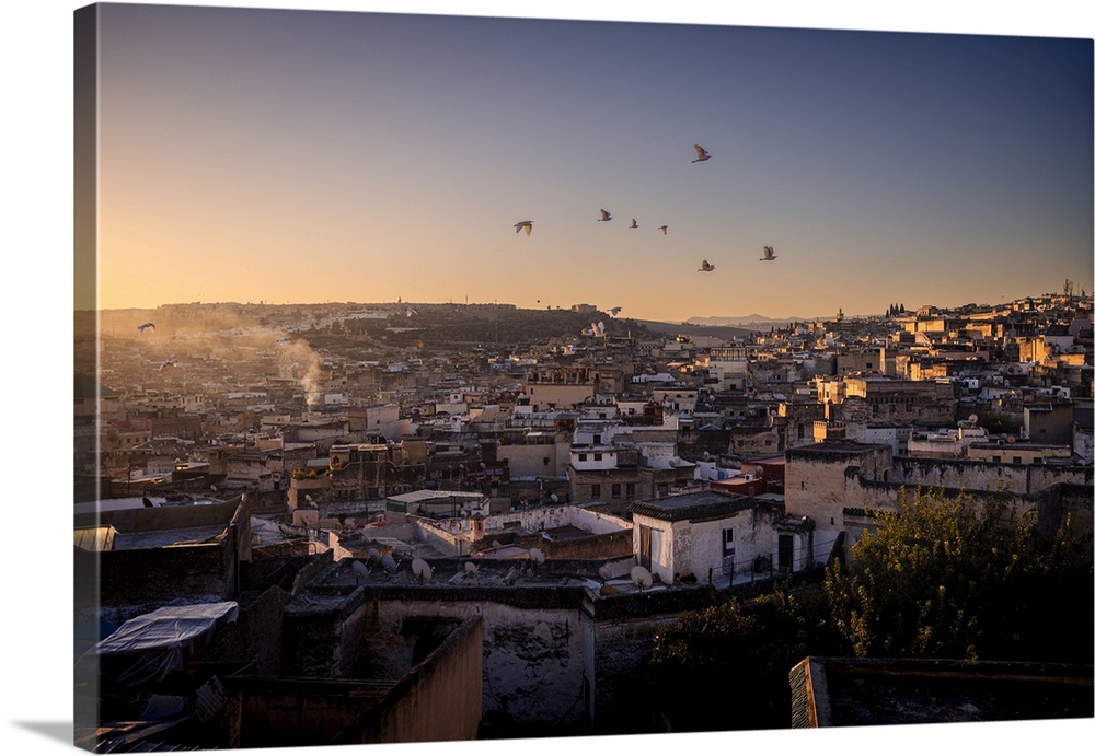 Birds flying over the medina of Fes, Morocco, during the golden hour after sunrise.