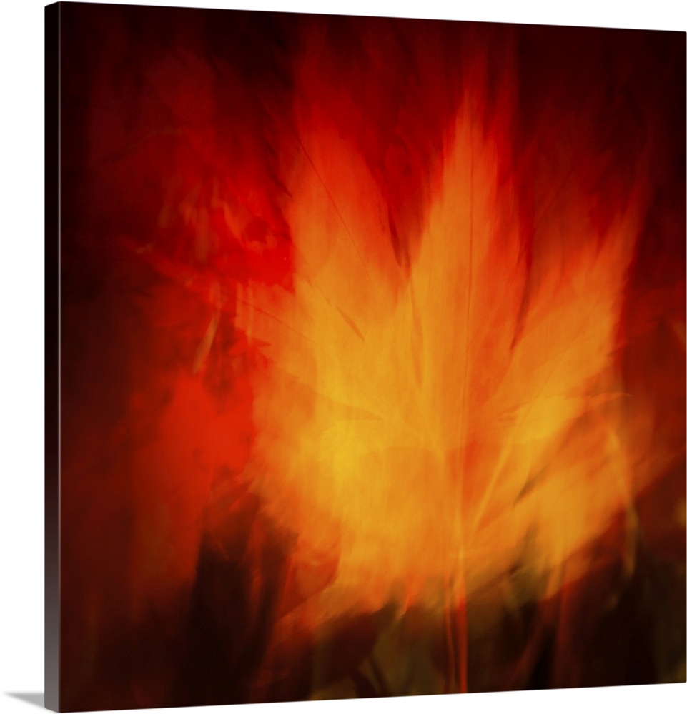 Virbrant fiery maple leaf abstract in red and gold.