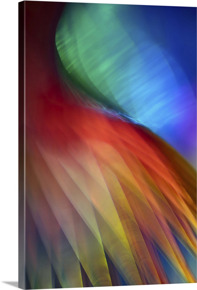 Abstract photograph of red and yellow layers resembling feathers.
