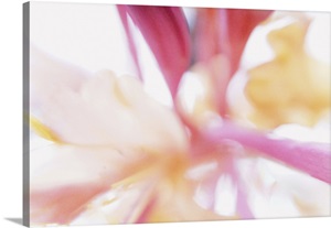 Flaming image thumbnail