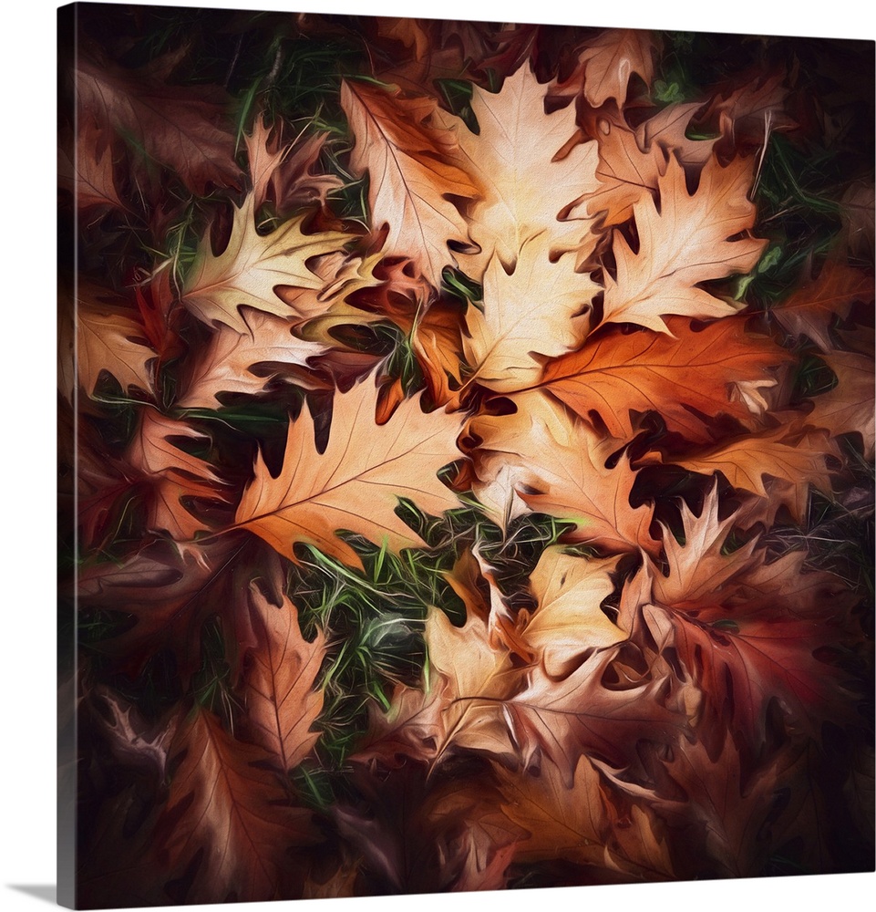 Photo Expressionism - Carpet of Fallen Leaves in Autumn.