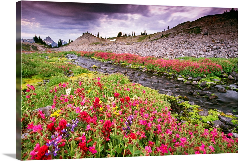 Giant photograph displays groups of flowers sitting on opposite sides of a slow moving stream.  Farther into the distance,...