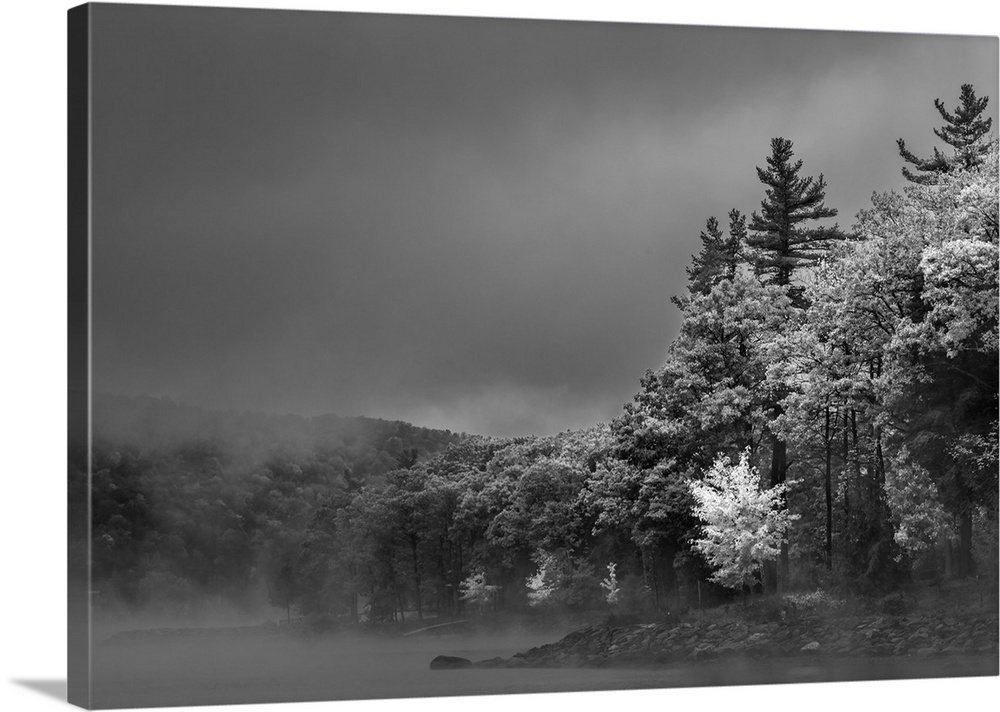 Black and White image of heavy fog over a lake lined with trees on a gloomy day.