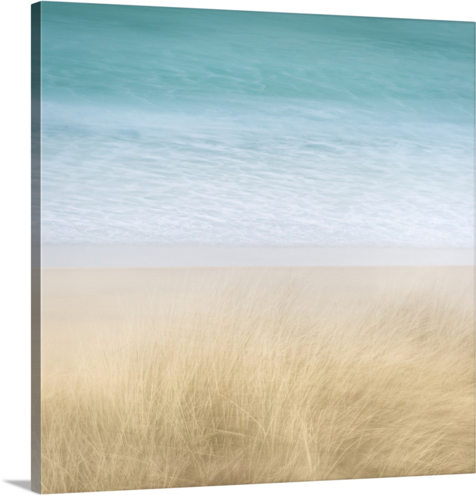 Contemporary beach scene of dune grasses blowing in the wind and turquoise water blurred in the background.