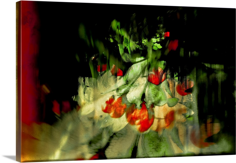 Abstract photograph of red tulips created with multiple layers of images.