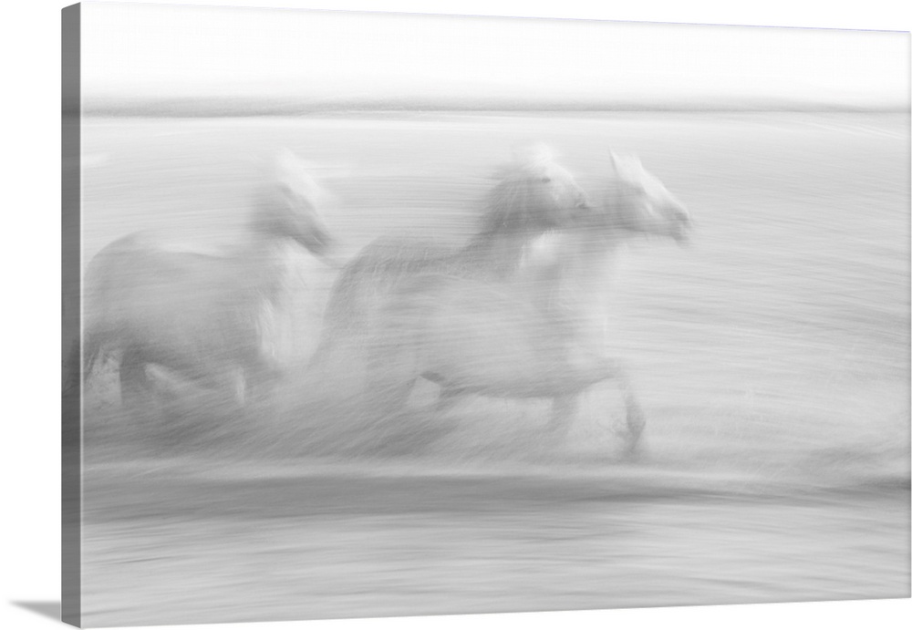 Abstract photo of horses galloping that has been edited to illustrate a motion blur effect.