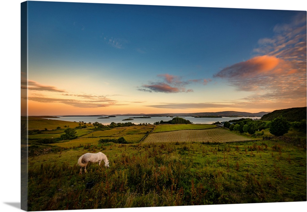 Sunset over Irish nature with a white horse in the foreground