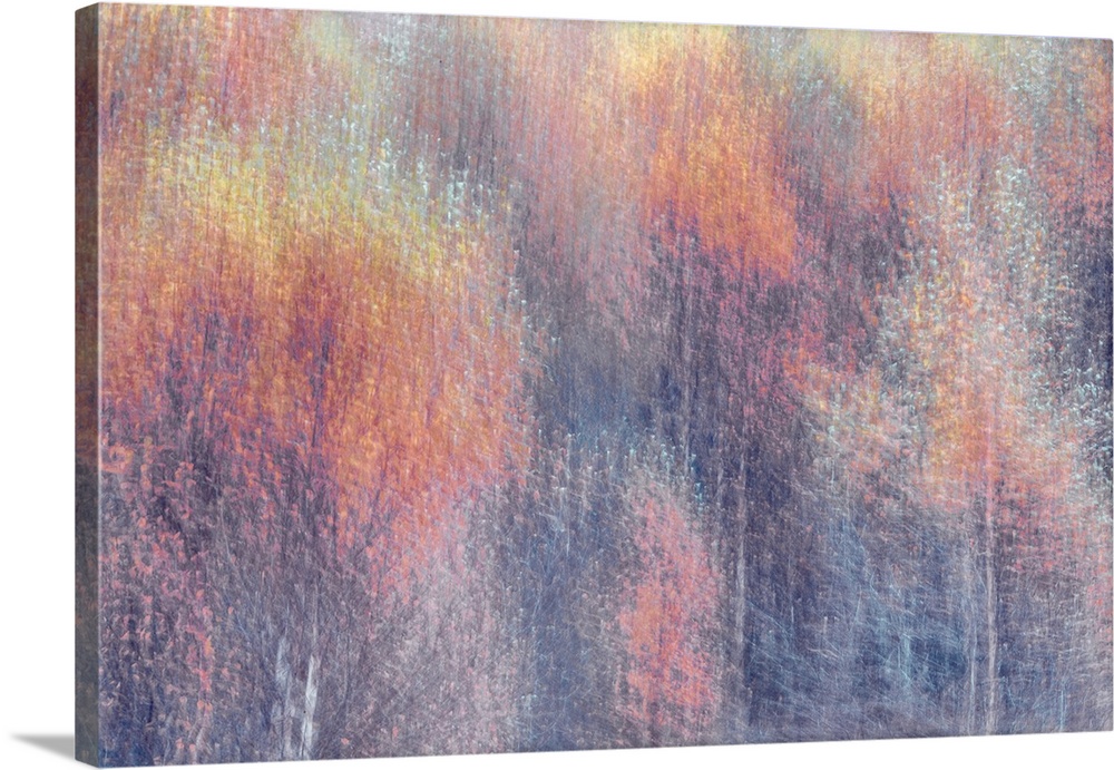 An impressionistic landscape of autumn fall trees in soft pinks, peaches and silvery whites.