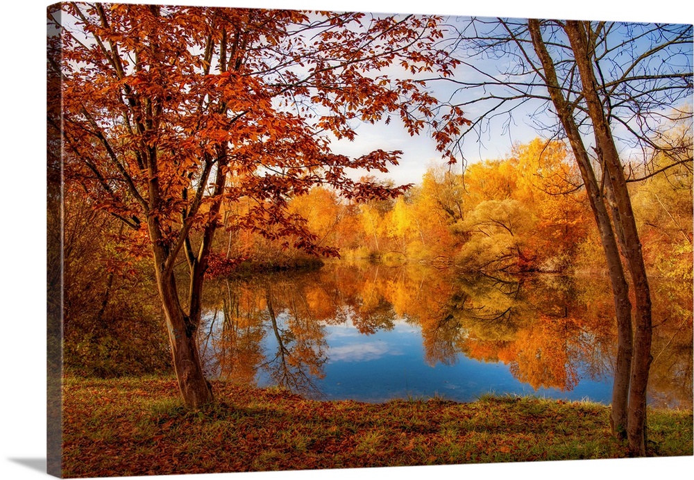 A pond in front of a forest in autumn with trees in the foreground