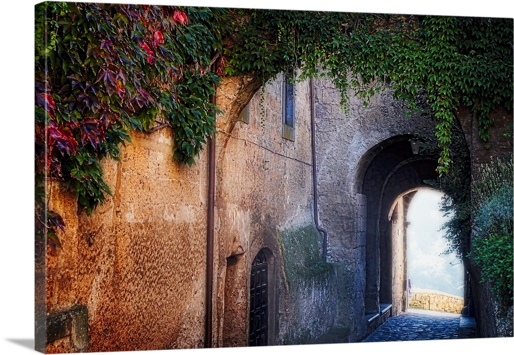 Leafy vines hanging over a stone archway in an old alleyway in Viterbo, Italy.