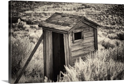 Ghost Town Outhouse I