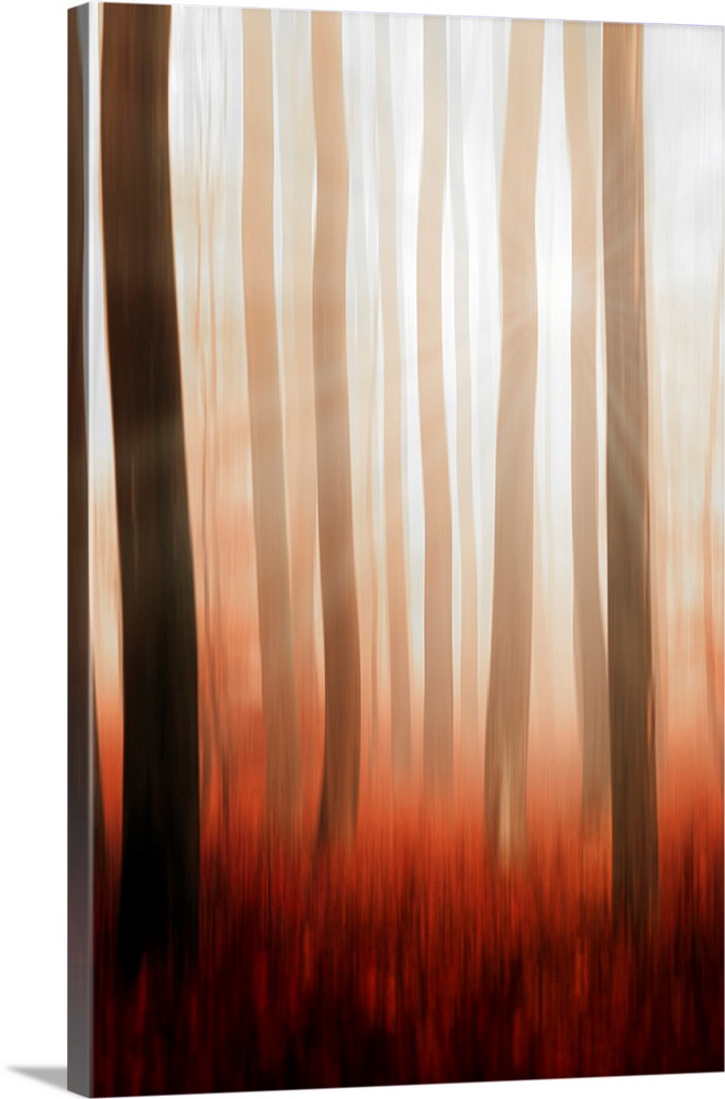 Trunks in a forest in autumn with a blur effect
