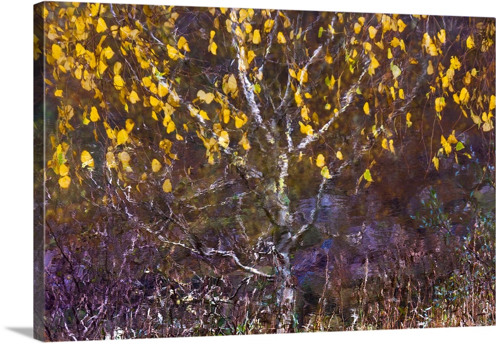 A photo of a tree with yellow leaves blowing in the wind that has been edited to a painterly effect.