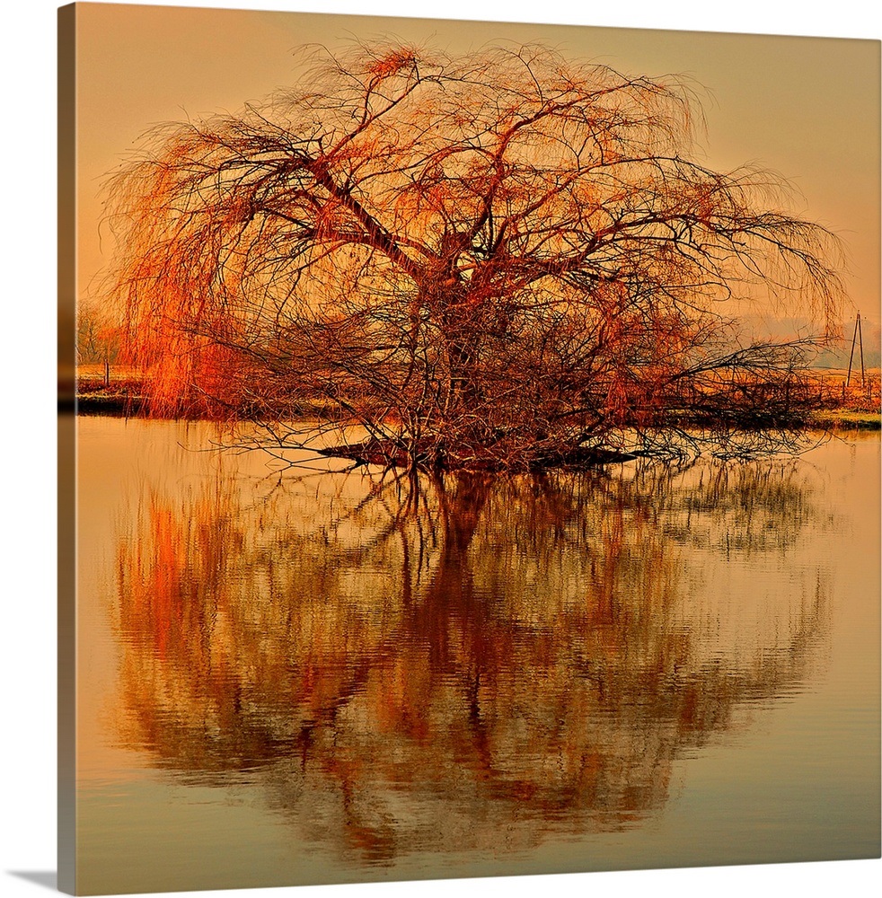 Golden Tree Wall Art, Canvas Prints, Framed Prints, Wall Peels Great