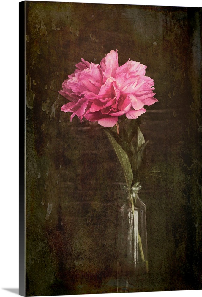 A peony in a vase with a photo texture