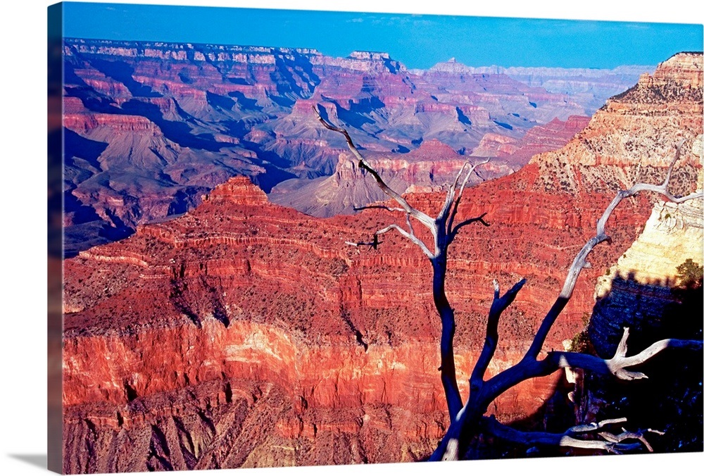 Grand Canyon II Wall Art, Canvas Prints, Framed Prints, Wall Peels