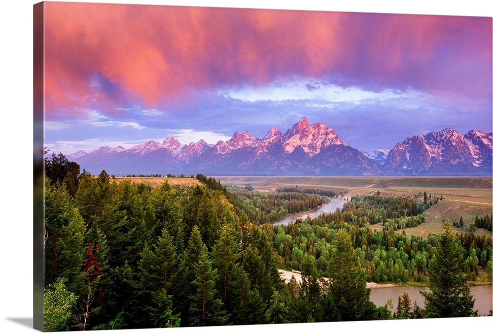 Giant landscape photograph of a vast pine forest in front of the Grand Tetons, beneath a sky of vibrant clouds.