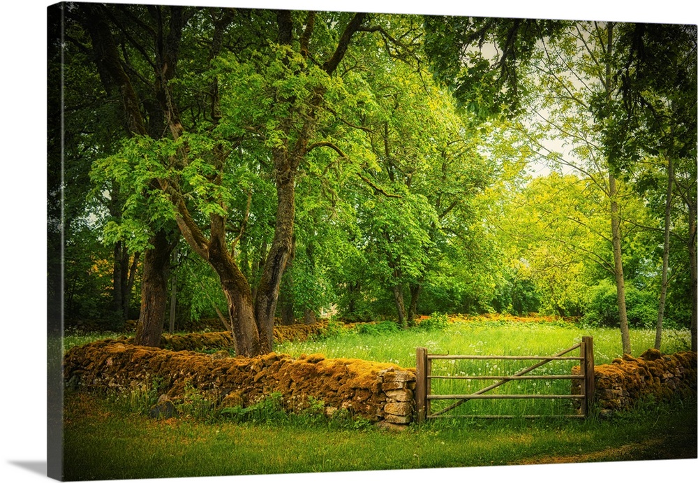 A plot of very green nature surrounding a tree in an enclosure with a fence