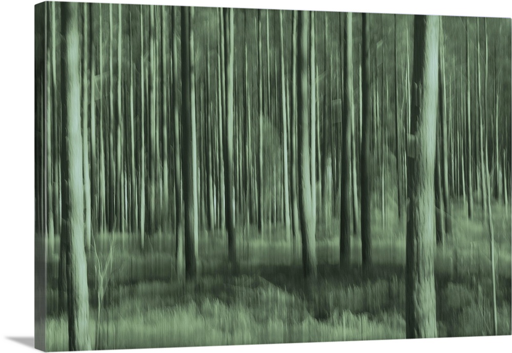 Artistically blurred photo. A totally green forest, thanks to an old camera that has troubles to depict the real colors.