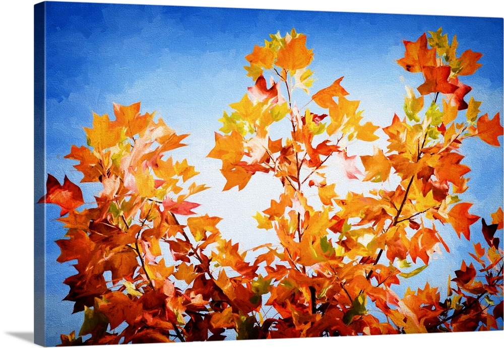 A photograph of autumn leaves on a branch against a blue sky.