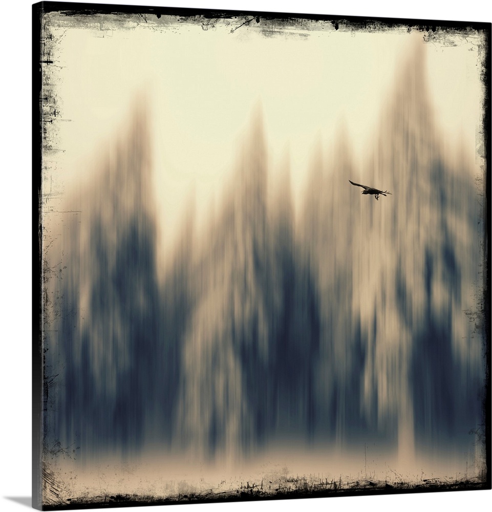 Blur effect on a fir forest with a bird in the foreground. Added photo texture