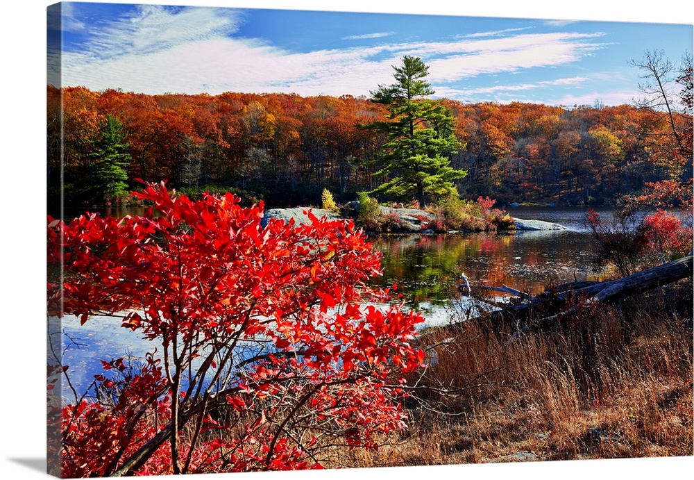 Little island in a lake during fall, Harriman State Park, New York.