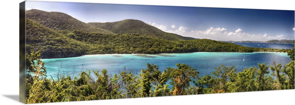 A photograph of a tropical landscape.