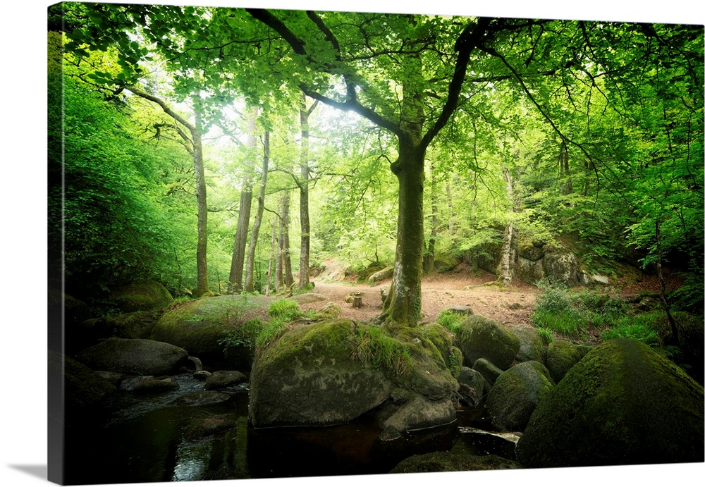 Huelgoat forest in Brittany with  green trees around the silver river in the place called the chaos