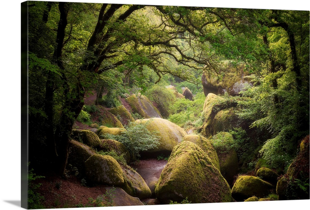 Picture of huelgoat forest in Brittany with big granitic rocks and green trees in the place called the chaos